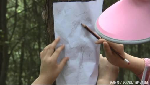 神奇的学校有哪些,神奇的学校完整版国语版