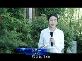 神奇的学校有哪些,神奇的学校完整版国语版