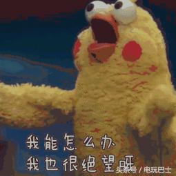 王者荣耀取名字可以随便给孩子吗,给孩子取名王者荣耀是真的吗