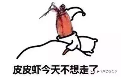 攻略｜老渔民亲传“扒虾秘籍”，皮皮虾我们走！