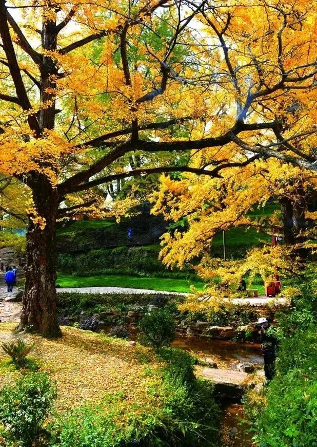 太精辟!一句话形容贵州88区县,看到自己的家乡笑死了!哈哈哈