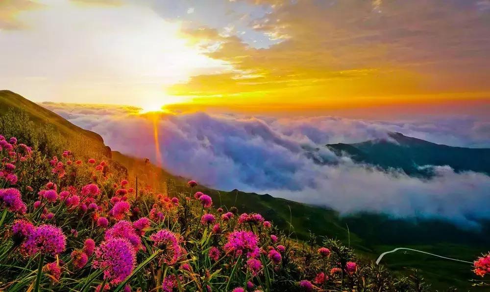 太精辟!一句话形容贵州88区县,看到自己的家乡笑死了!哈哈哈