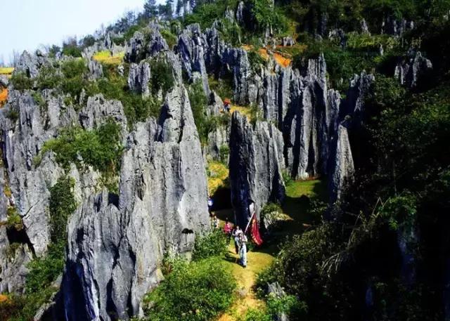 太精辟!一句话形容贵州88区县,看到自己的家乡笑死了!哈哈哈