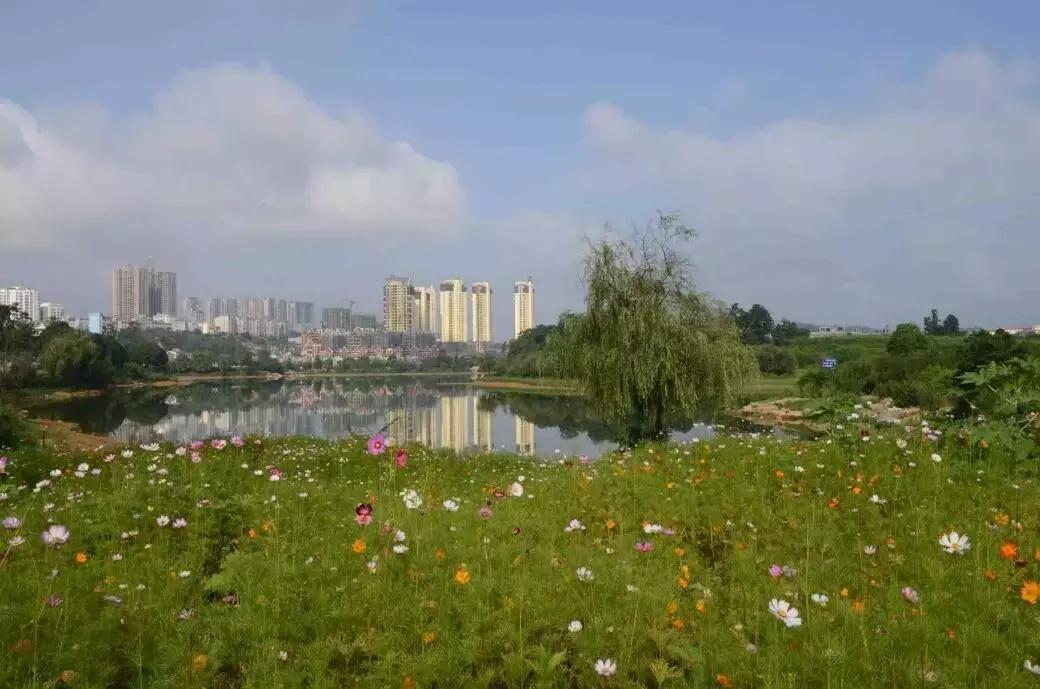 太精辟!一句话形容贵州88区县,看到自己的家乡笑死了!哈哈哈