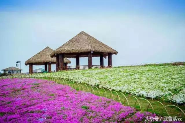 安顺旅游必去十大景点推荐一下,你的好友会带你去哪里玩