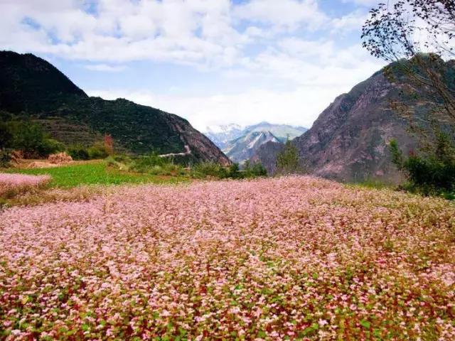 康定旅游景点木格措,康定木格措门票冬天