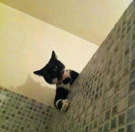 门上面开了个洞,网友房间偷偷搞了一条隧道密室