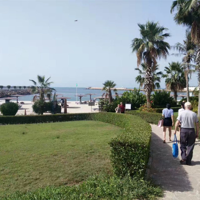 学姐学长的朋友圈，飞过一整个世界