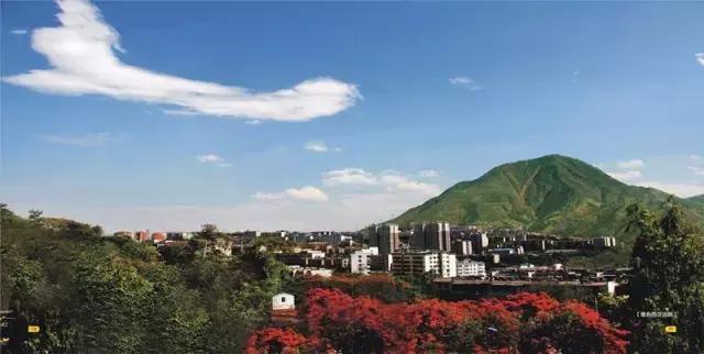 江苏省异地就医267家医院名单,四川省内异地就医需要医疗备案吗