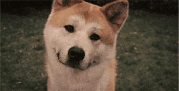 太瘦导致骨折的原因有哪些,太瘦容易骨折吗