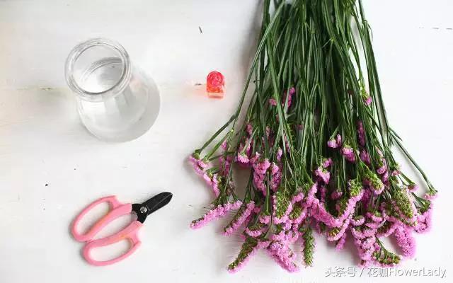 勿忘我如何打理最好,勿忘我怎么养才不会枯萎