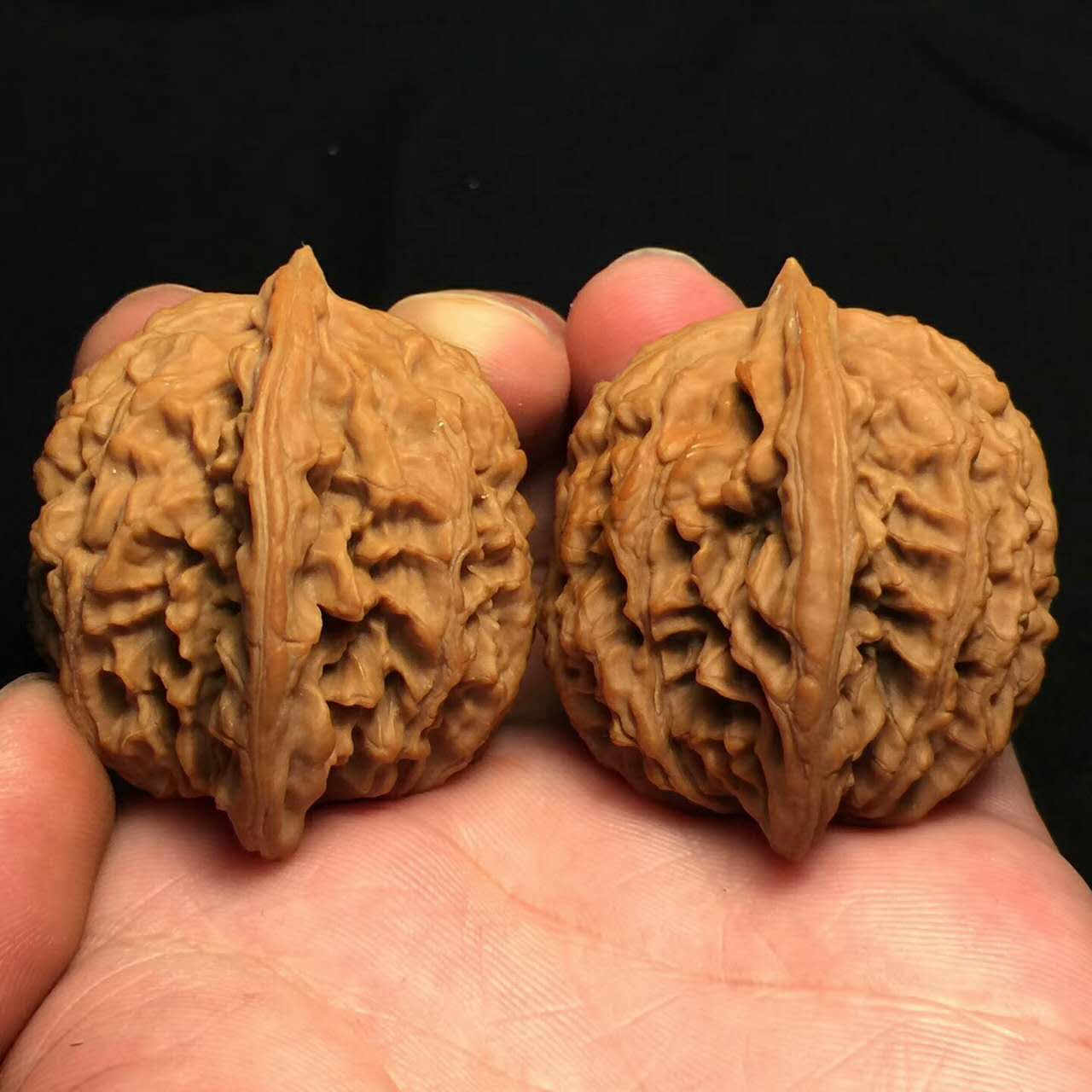 文玩核桃的魅力究竟在哪儿,文玩核桃为什么值钱