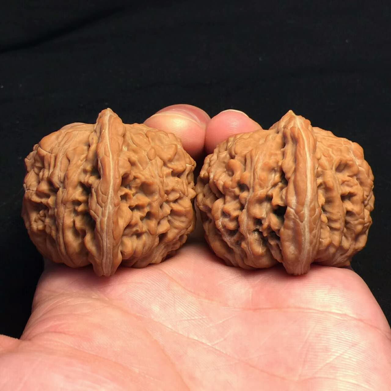 文玩核桃的魅力究竟在哪儿,文玩核桃为什么值钱