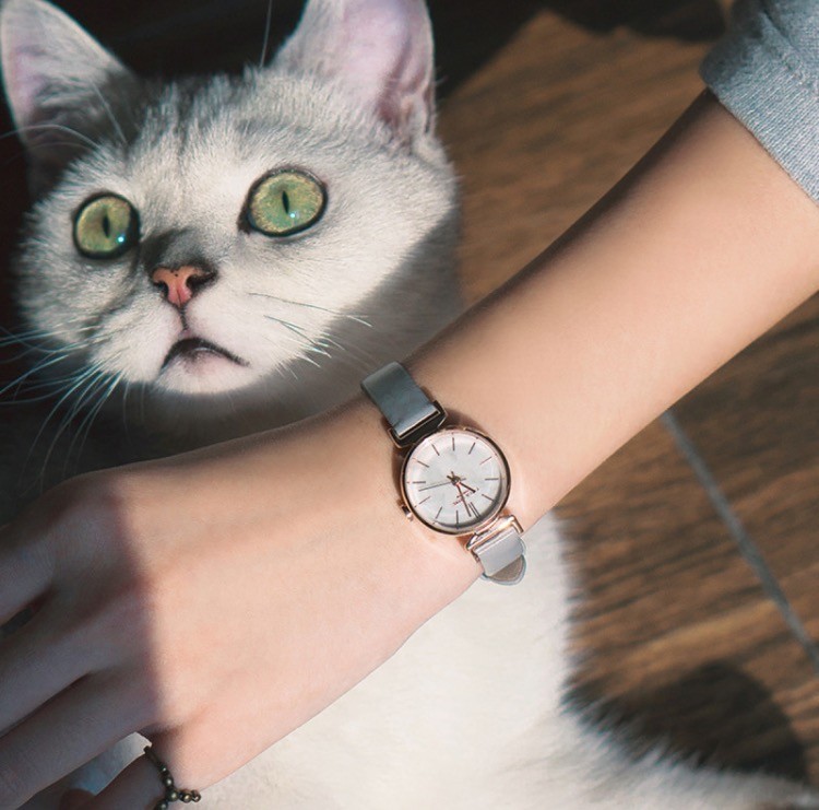 推荐一款小众好看的手表,一些颜值高的小众手表