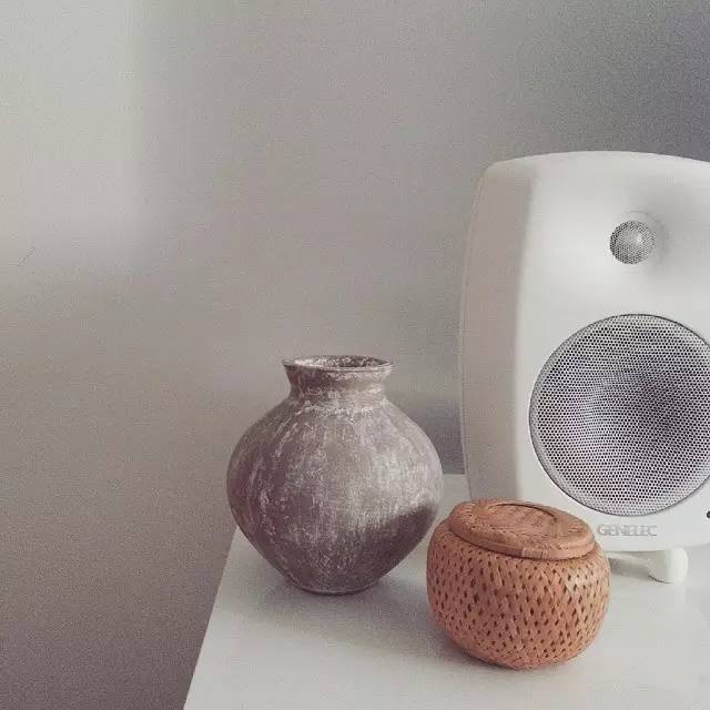 芬兰真力音箱,真力音箱型号经典