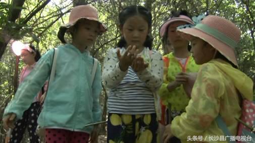 神奇的学校有哪些,神奇的学校完整版国语版