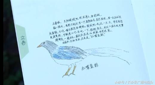 神奇的学校有哪些,神奇的学校完整版国语版