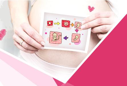 孕期三个月需要补什么营养,孕期孩子偏小怎么补营养