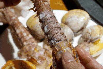 攻略｜老渔民亲传“扒虾秘籍”，皮皮虾我们走！