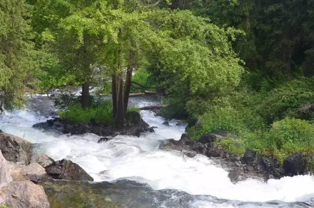 带着老伴穷游,开房车带老伴穷游