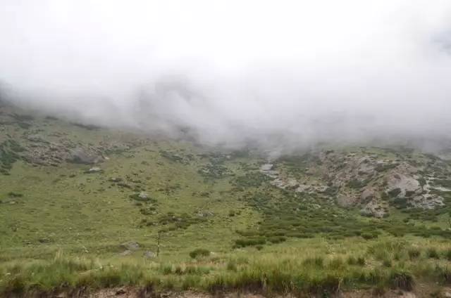 带着老伴穷游,开房车带老伴穷游