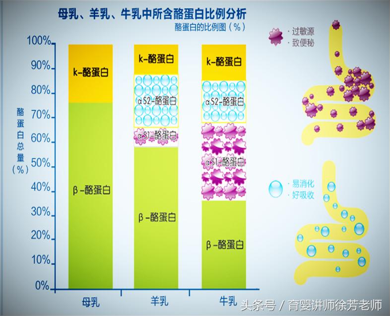到底是羊奶粉喝好还是牛奶粉喝好,应该选择羊奶粉吗