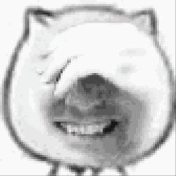 澳洲网速,澳洲网速慢怎么解决