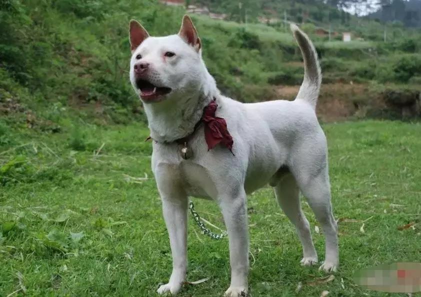 太精辟!一句话形容贵州88区县,看到自己的家乡笑死了!哈哈哈