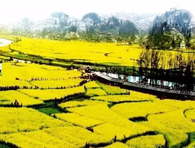 太精辟!一句话形容贵州88区县,看到自己的家乡笑死了!哈哈哈