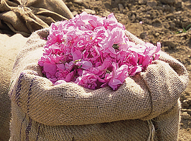 法国全部香水有哪些,法国的香水世界闻名