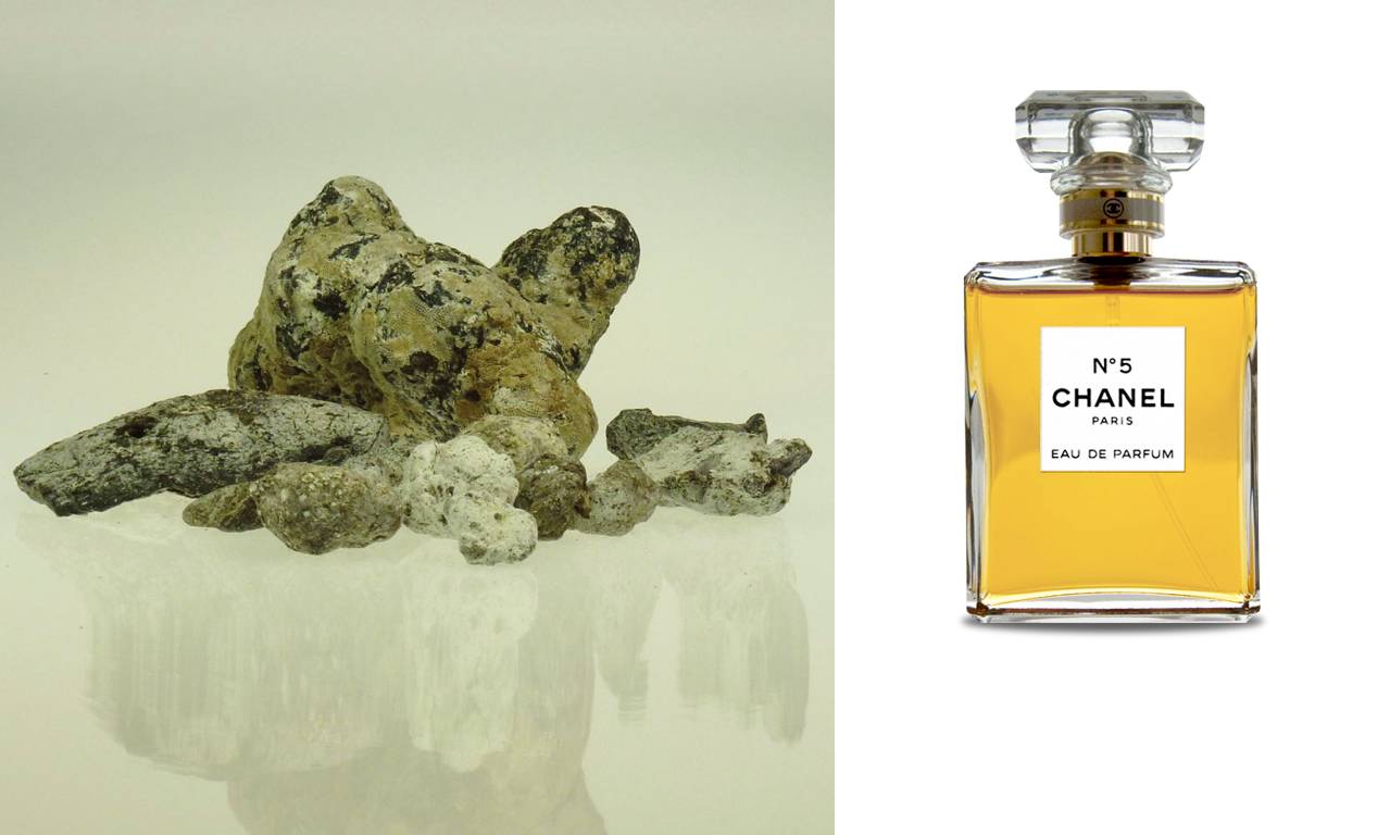 法国最精致的香水,法国最香的香水