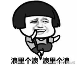 一些四字成语的解释,说的四字成语有哪些