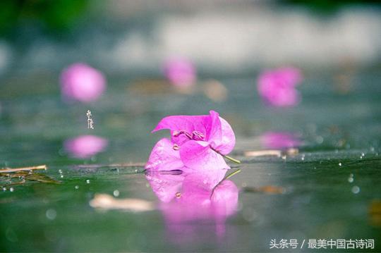 唐伯虎书法长卷落花诗册完整,唐伯虎的落花诗册有多少个字