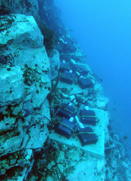 南极海洋气候变暖,南极气温变暖会有什么后果