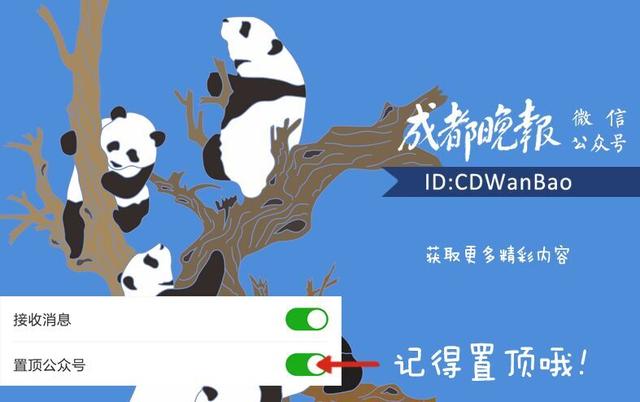 上海地铁6号线港城路换乘10号线,上海地铁15号线到哪换乘10号线