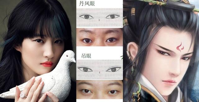 不同的眼型代表不同的命运,怎么看眼型命运
