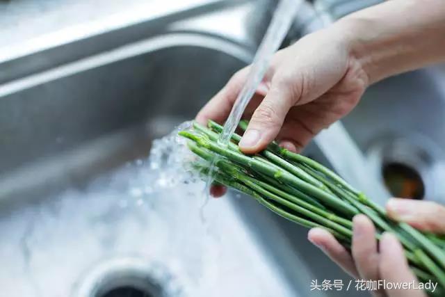 勿忘我如何打理最好,勿忘我怎么养才不会枯萎