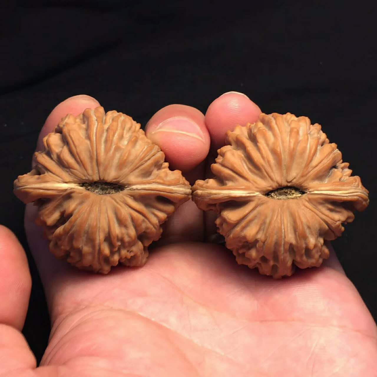 文玩核桃的魅力究竟在哪儿,文玩核桃为什么值钱