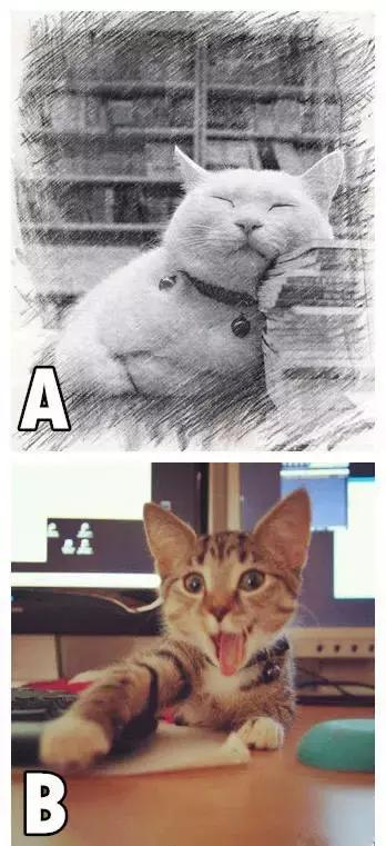 是否适合生二胎测试,测试你会二胎吗