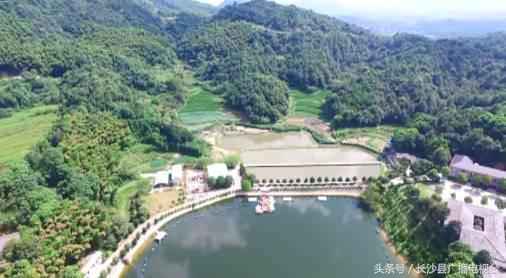 神奇的学校有哪些,神奇的学校完整版国语版