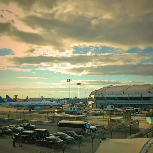 日本机场买什么最便宜,国内机场买东西划算吗