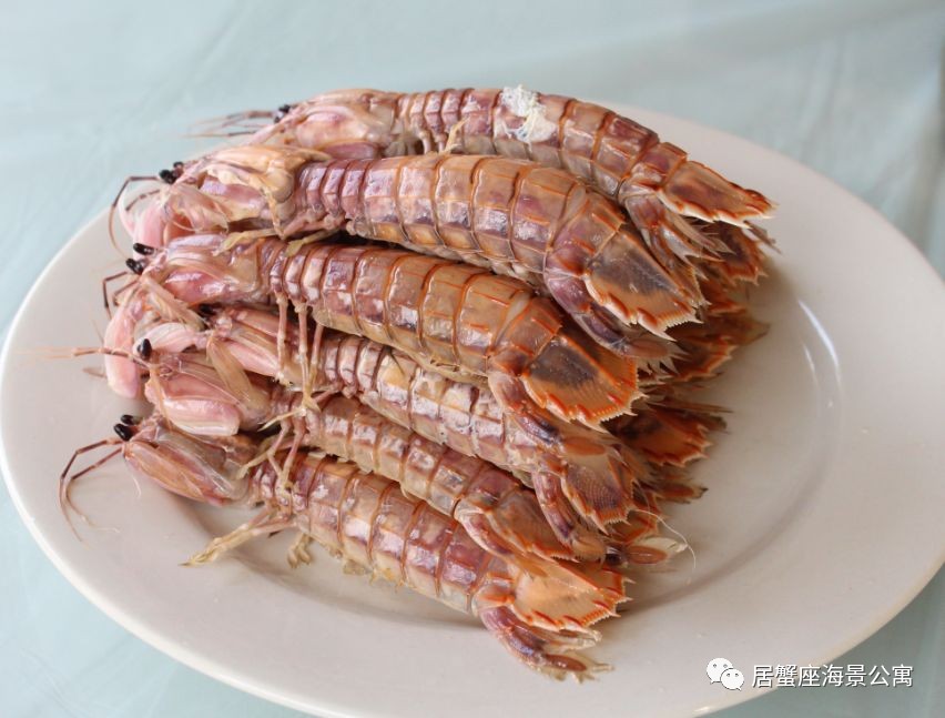 攻略｜老渔民亲传“扒虾秘籍”，皮皮虾我们走！