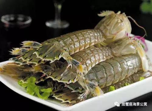 攻略｜老渔民亲传“扒虾秘籍”，皮皮虾我们走！