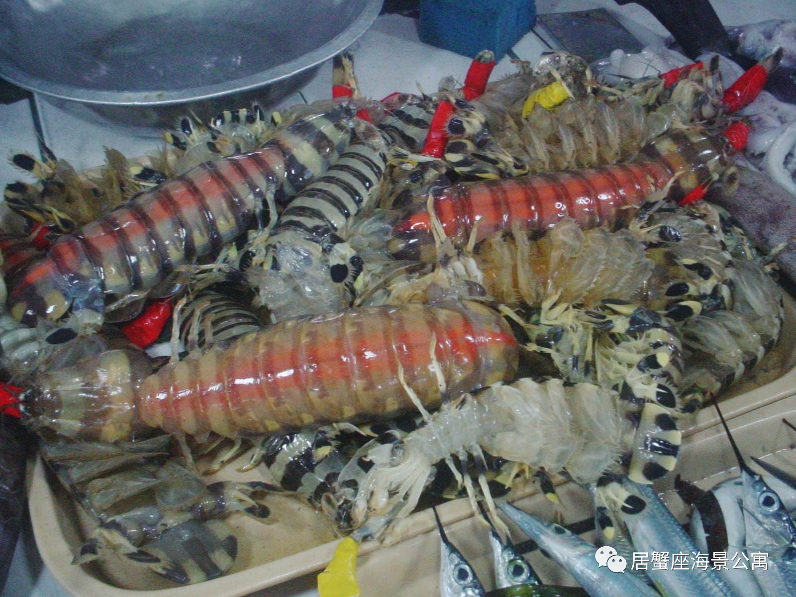 攻略｜老渔民亲传“扒虾秘籍”，皮皮虾我们走！