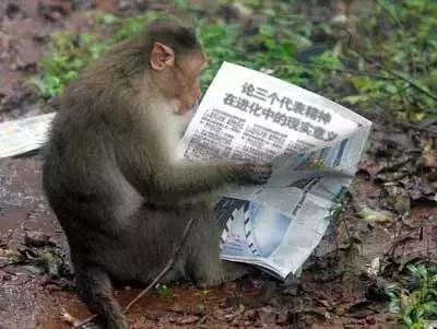 太精辟!一句话形容贵州88区县,看到自己的家乡笑死了!哈哈哈