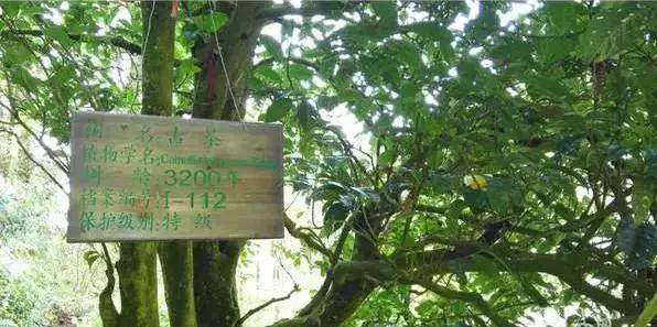 太精辟!一句话形容贵州88区县,看到自己的家乡笑死了!哈哈哈