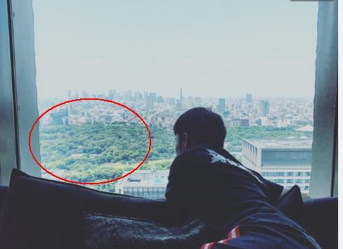 陈赫的天价豪宅,陈赫上海豪宅内景曝光