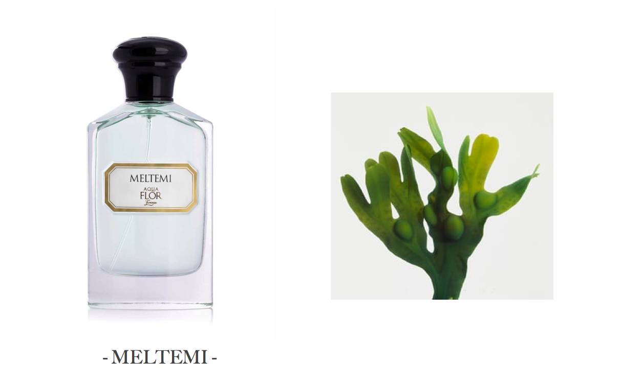 法国最精致的香水,法国最香的香水