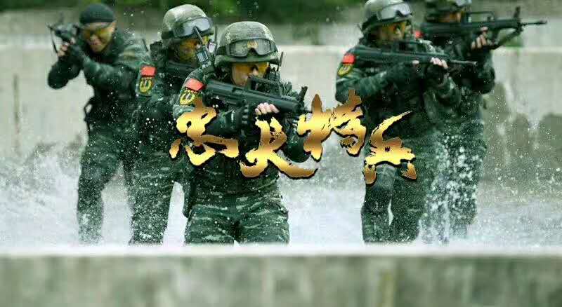 十年磨一剑刀郎现场,十年磨一剑刀郎