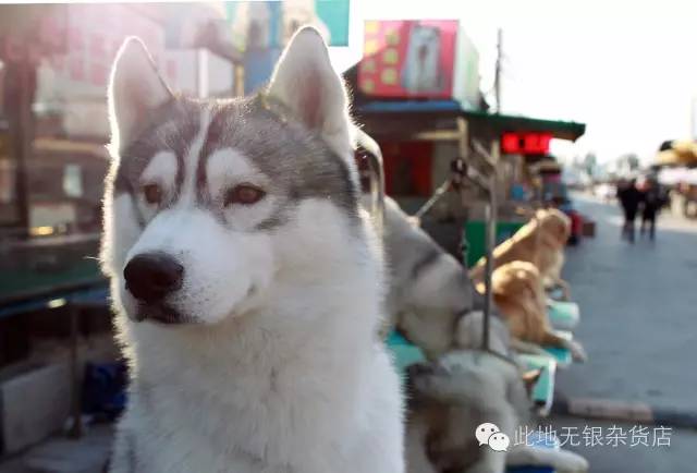 智齿拔除72个小时后应该干嘛,拔了2颗智齿有什么后遗症吗